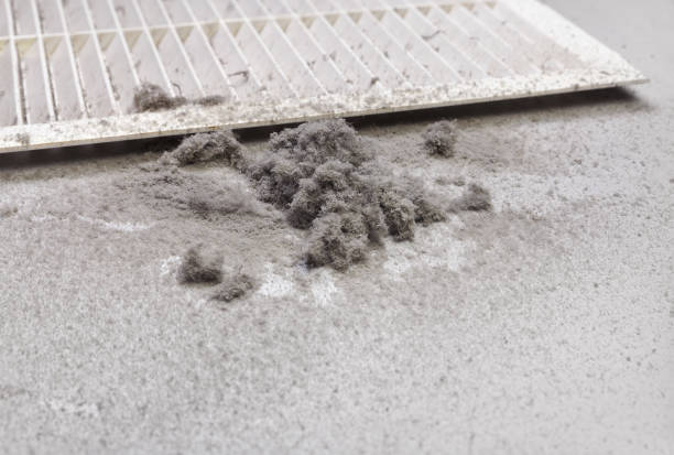Best Best Air Duct Cleaning Company  in Lake Darby, OH