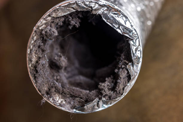 Best Air Duct Inspection  in Lake Darby, OH
