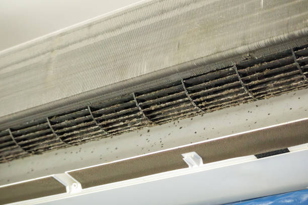 Best Air Duct Cleaning Near Me  in Lake Darby, OH