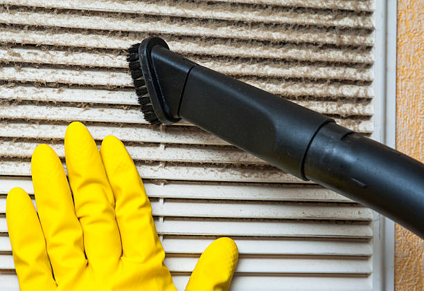 Best Professional Duct Cleaning Services  in Lake Darby, OH